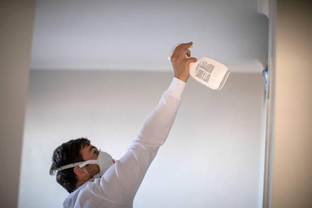 Venersborg, WA Mold Removal Company