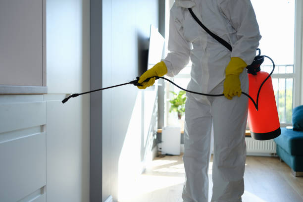 Mold Removal and Inspection in Venersborg, WA