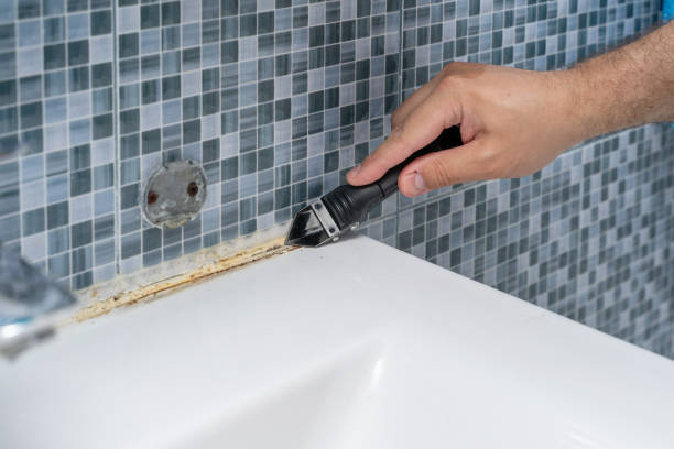 Best Mold Damage Repair  in Venersborg, WA