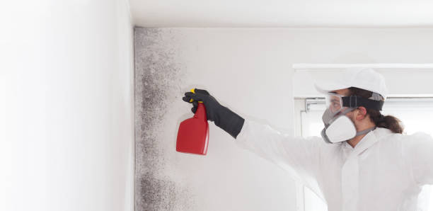 Best Mold Remediation Services  in Venersborg, WA